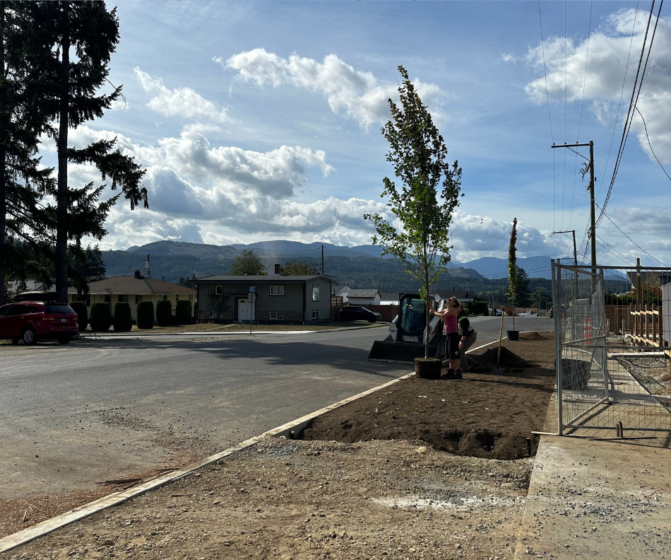 Landscaping Is Underway At 2nd Stage Housing Project Sage Haven Society